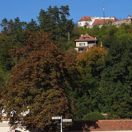 View From The Top * Brasov